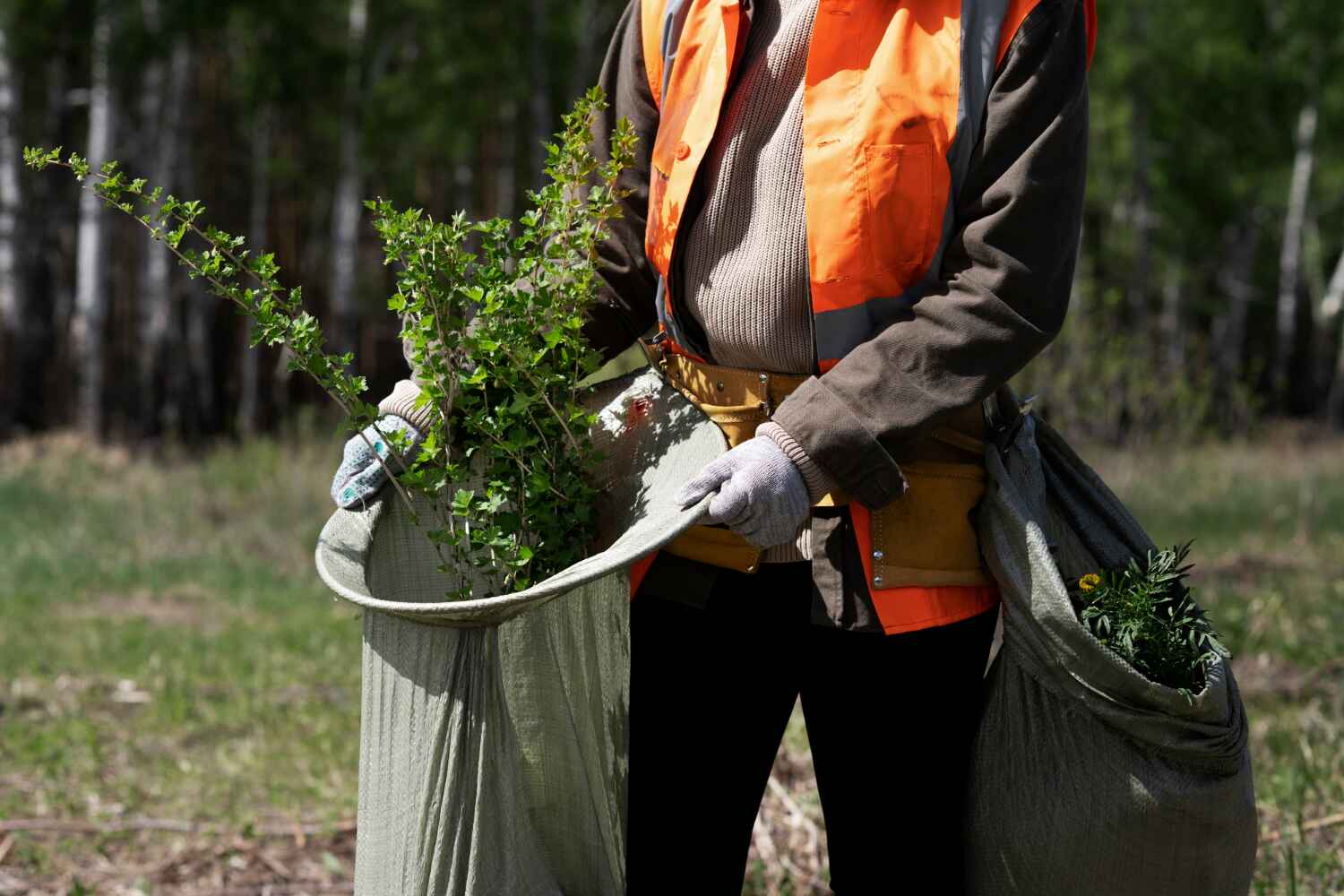 Best Tree Removal Near Me  in USA